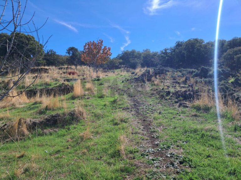 Terreno in vendita a Santa Maria di Licodia, Contrada Inchiuso – foto 1