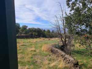 Terreno in vendita a Santa Maria di Licodia, Contrada Inchiuso – foto 2