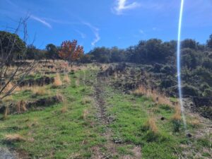 Terreno in vendita a Santa Maria di Licodia, Contrada Inchiuso – foto 4