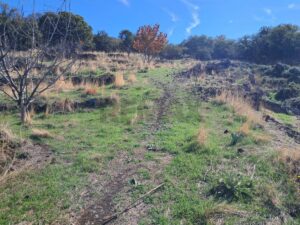 Terreno in vendita a Santa Maria di Licodia, Contrada Inchiuso – foto 9